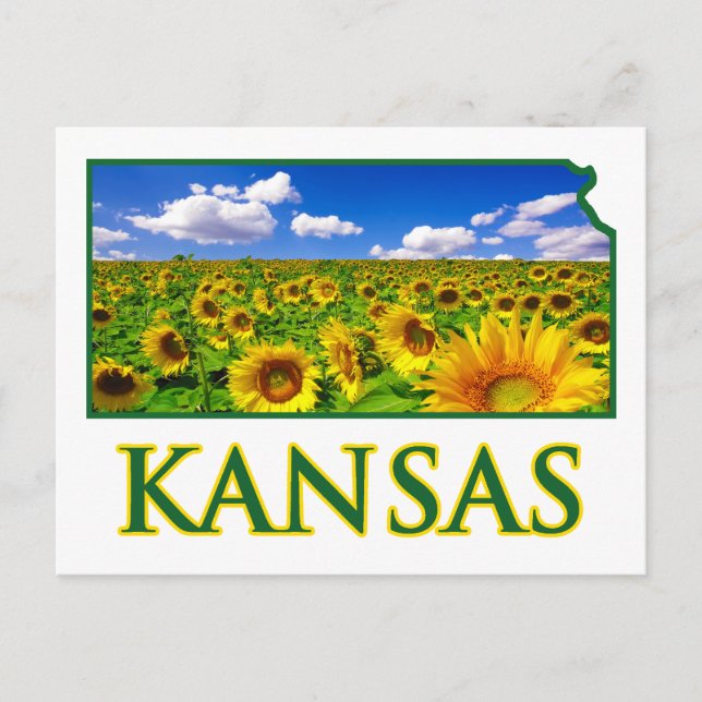 Cartão Postal Kansas Sunflower Sky (Frente)