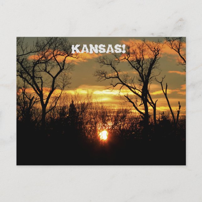 Cartão Postal Kansas Sunset com nuvens e árvores Postam Cartão. (Frente)