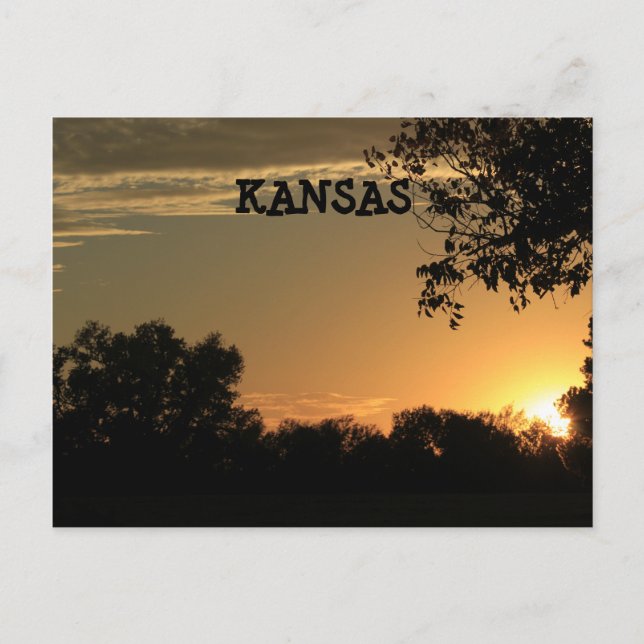 Cartão Postal Kansas Sunset com placa de Posto Silhouette de Árv (Frente)