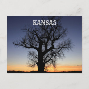 Cartão Postal Kansas Tree Silhouette