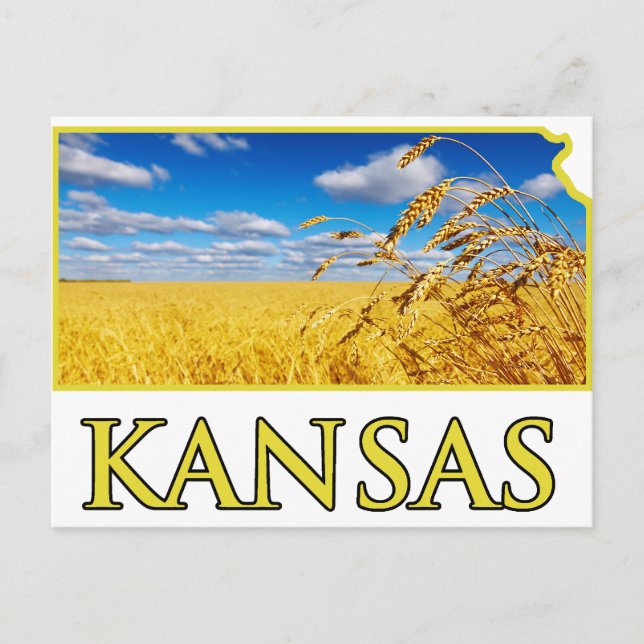 Cartão Postal Kansas Wheat Field (Frente)