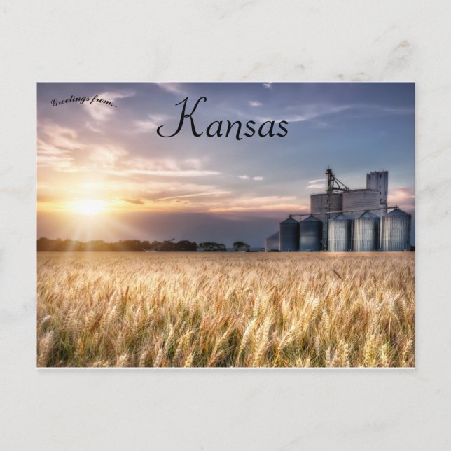 Cartão Postal Kansas Wheat Field (Frente)