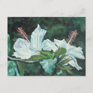 Cartão Postal Kao Kao 5