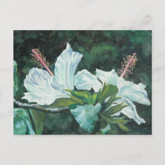 Cartão Postal Kao Kao 5