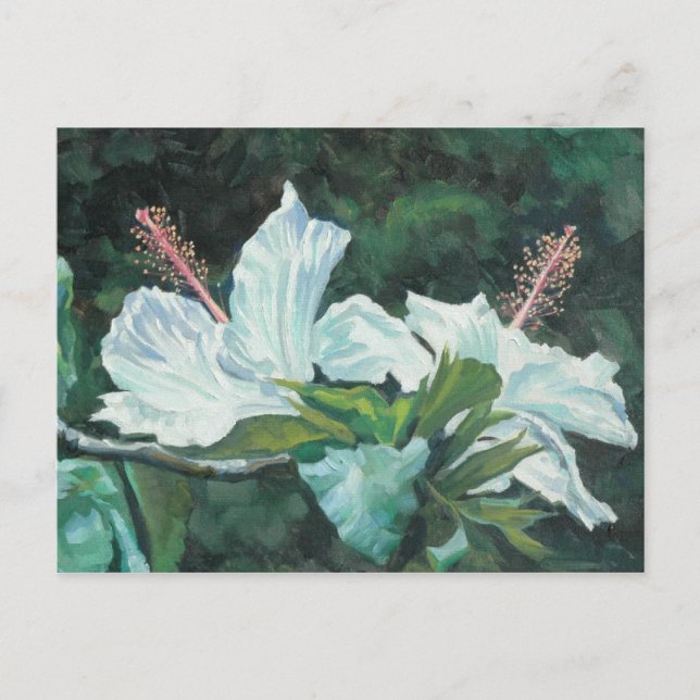 Cartão Postal Kao Kao 5 (Frente)