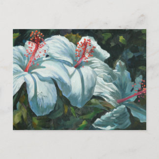 Cartão Postal Kao Kao 6