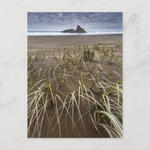 Cartão Postal Karekare Beach Ilha Panatahi, Costa Oeste