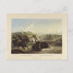 Cartão Postal Karl Bodmer- Índios caçando o bisão