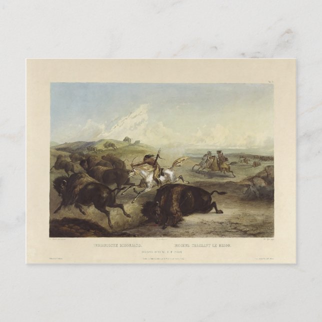 Cartão Postal Karl Bodmer- Índios caçando o bisão (Frente)