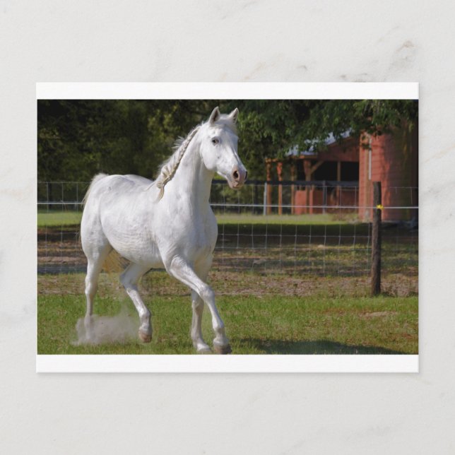 Cartão Postal Katie Running (Frente)