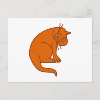 Cartão Postal Katze cat