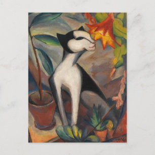 Cartão Postal Katze mit Kakadolescblute por Maetzel-Johannsen