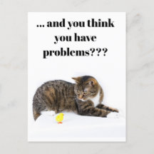 Cartão postal Katze schaut "Küken" e um Humor schw