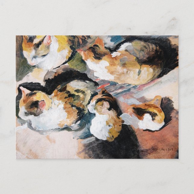 Cartão Postal Katzenstudien (Estudo de um Gato), de August Macke (Frente)