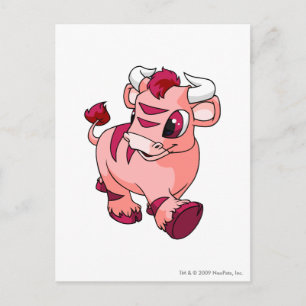 Cartão Postal Kau Pink