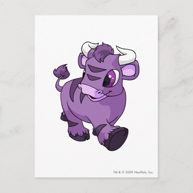 Cartão Postal Kau Purple (Frente)