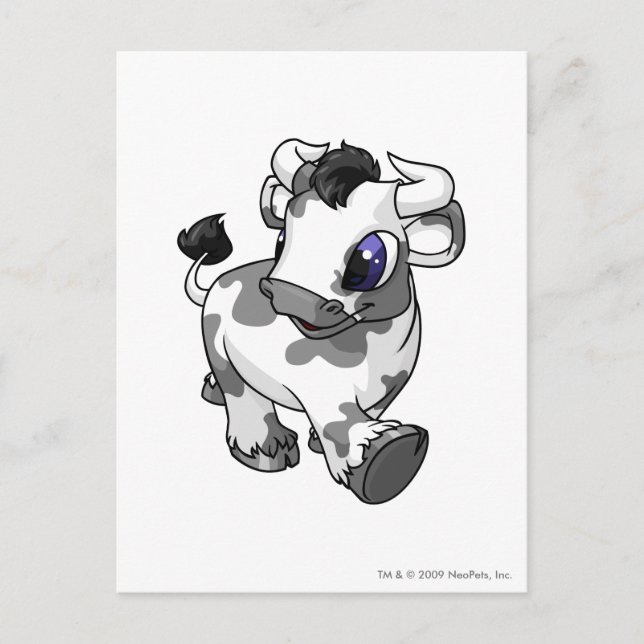 Cartão Postal Kau Spotted (Frente)