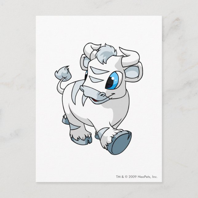 Cartão Postal Kau White (Frente)