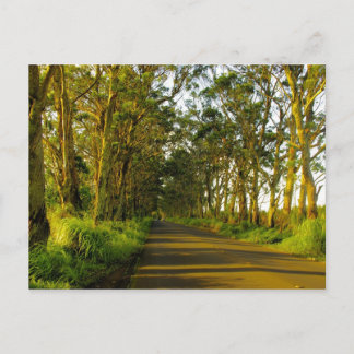 Cartão Postal Kauai - A estrada para Poipu