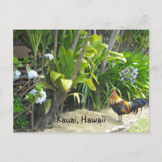 Cartão Postal Kauai, Havaí