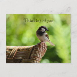 Cartão Postal Kauai Hawaii Bird A presidir Pensando em você