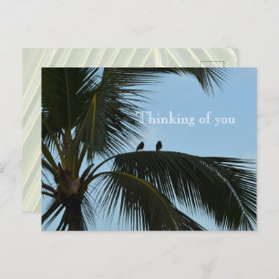 Cartão Postal Kauai Hawaii Birds em Palm Tree