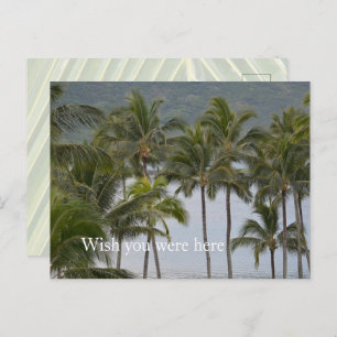 Cartão Postal Kauai Hawaii Lihue Palm Trees Ocean