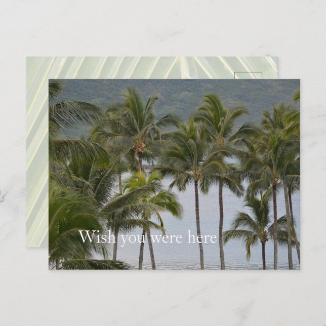 Cartão Postal Kauai Hawaii Lihue Palm Trees Ocean (Frente/Verso)