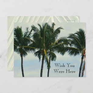 Cartão Postal Kauai Hawaii Tropical Palm Trees