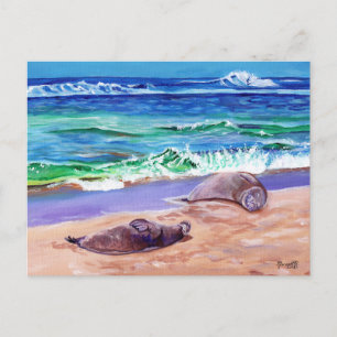 Cartão Postal Kauai Hawaiian Monk Seals no Poipu Beach Postcard