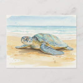 Cartão Postal Kauai Sea Turtles Resting at the Beach