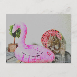 Cartão Postal Kawaii ♡ pequeno animal
