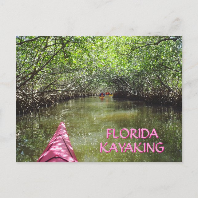 Cartão Postal Kayaking Through the Mangroves Florida Adventure (Frente)