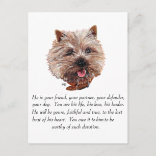 Cartão Postal Keepsawn Cairn Terrier - Masculino