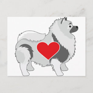 Cartão Postal Keeshond