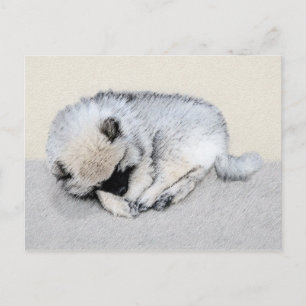 Cartão Postal Keeshond Dormindo Puppy Pintura Original