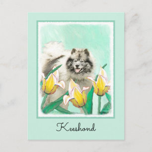 Cartão Postal Keeshond em Tulips pintando lindas artes caninas o