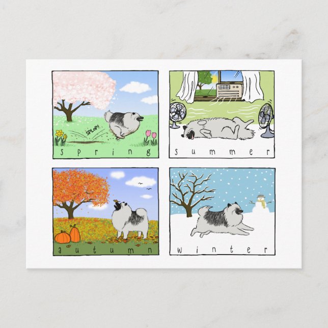 Cartão Postal Keeshond gosta das quatro montanhas - Arte de Cach (Frente)