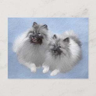 Cartão Postal Keeshond Pair de Kees pintando Arte Animal Origina