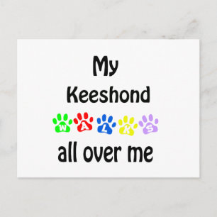 Cartão Postal Keeshond Walks Design