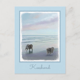Cartão Postal Keeshonds na Arte de Cão de Pintura em Seashore