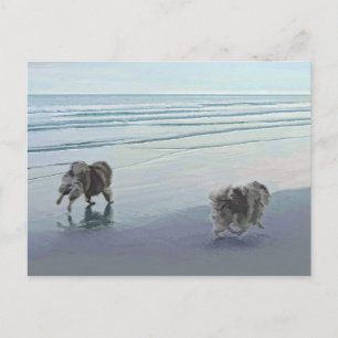 Cartão Postal Keeshonds na Arte de Cão de Pintura em Seashore
