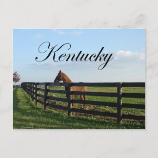 Cartão Postal Kentucky Bluegrass Country