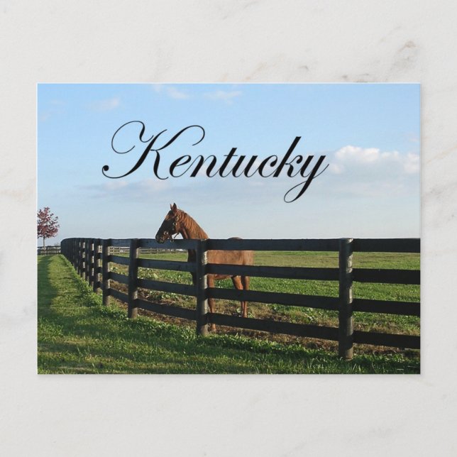 Cartão Postal Kentucky Bluegrass Country (Frente)