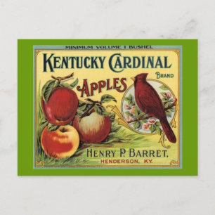 Cartão Postal Kentucky Cardinal Bird