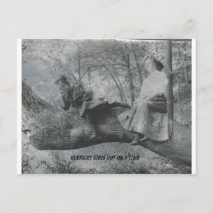 Cartão Postal Kentucky Girls fora em um Limb