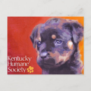 Cartão Postal Kentucky Humane Society
