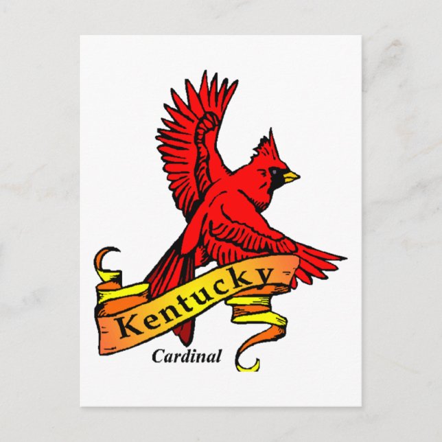 Cartão Postal Kentucky State Bird (Frente)