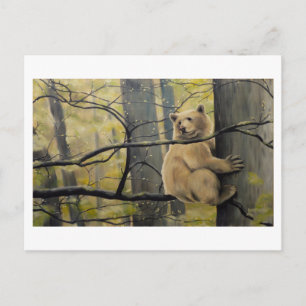 Cartão postal Kermode Bear Postcards