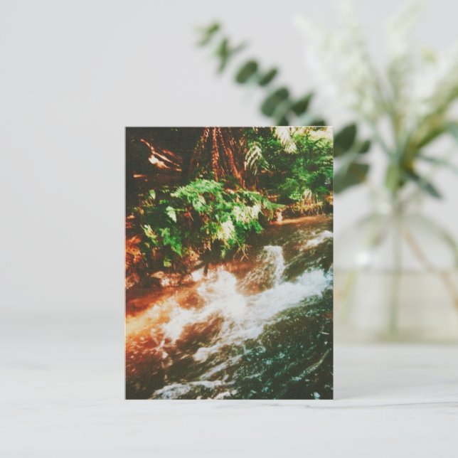 Cartão Postal Kerosene Creek, Rotorua, Nova Zelândia (Em pé/Frente)